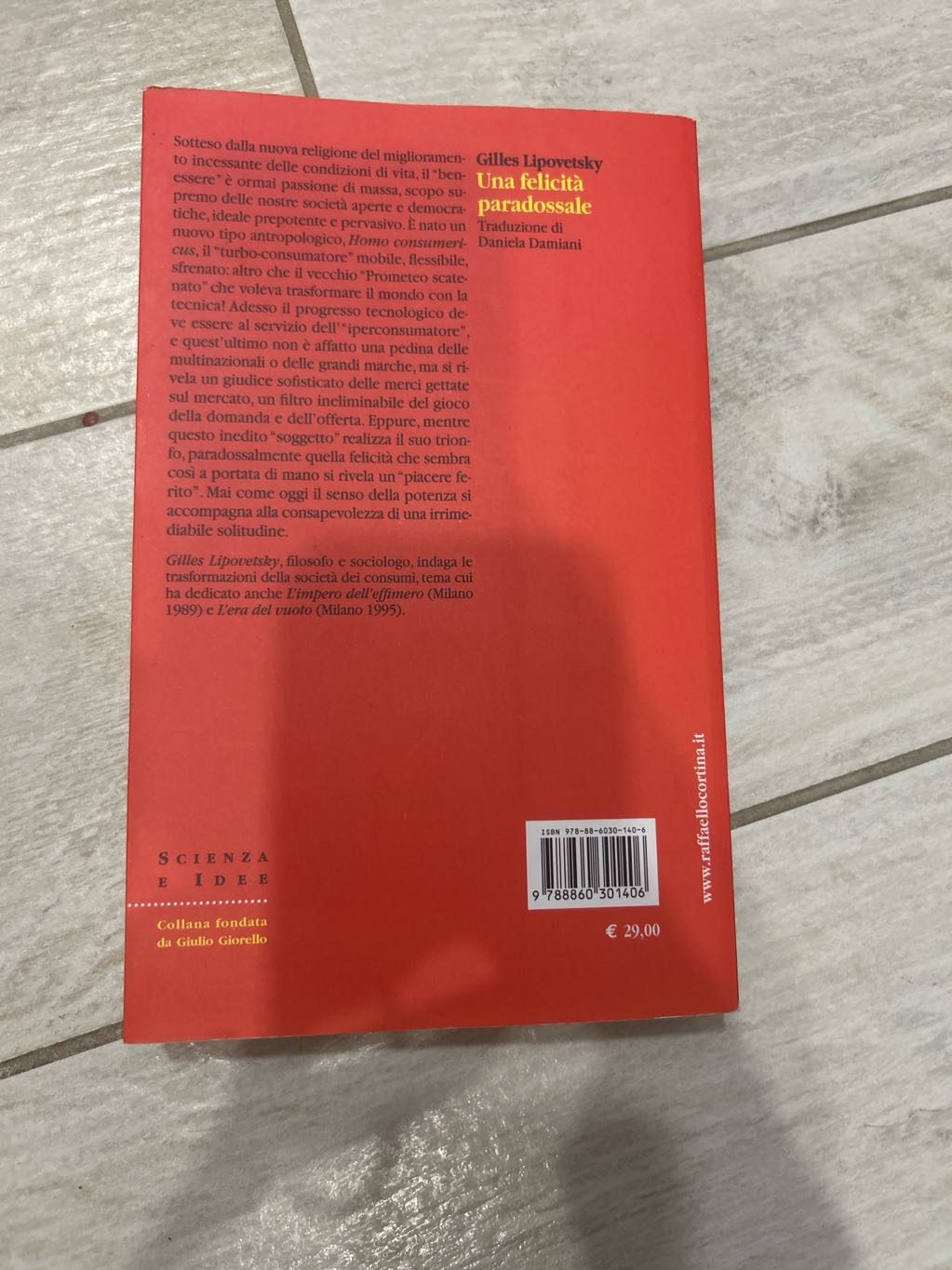 Una felicità paradossale, foto 2