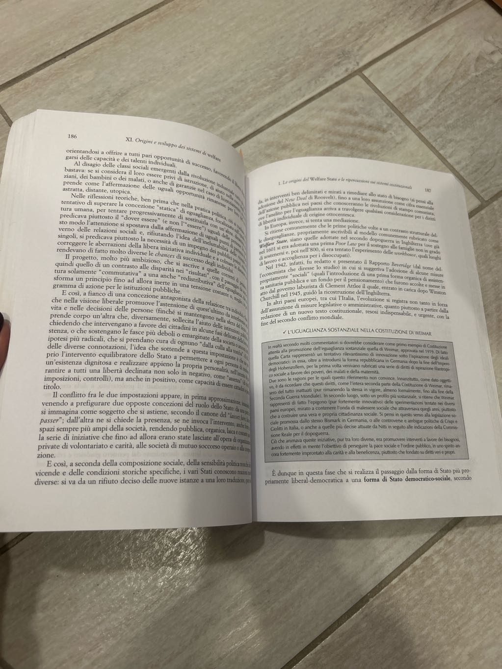 Lineamenti di diritto pubblico per i servizi sociali, foto 2