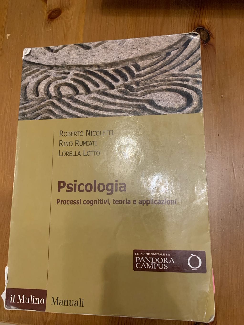 Psicologia. processi cognitivi, teoria e applicazioni di Nicoletti Rumiati Lotto, libro usato