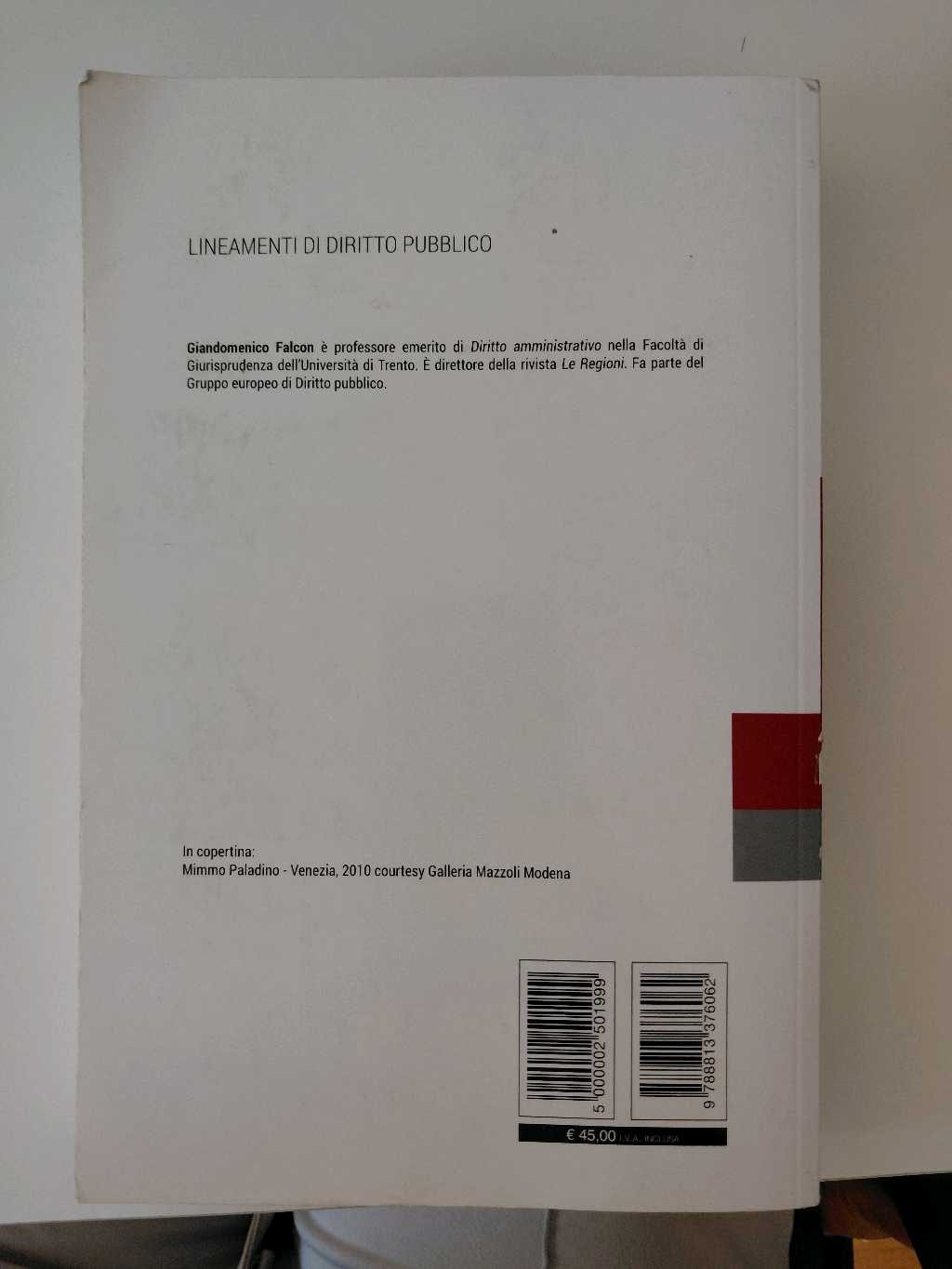 Lineamenti di Diritto Pubblico, foto 2